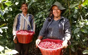 Café con alma segoviana conquista paladares internacionales