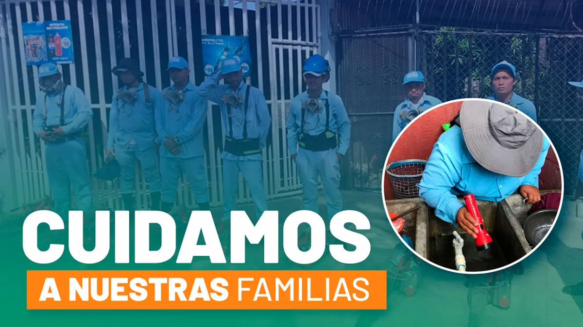 Acción preventiva: fumigación y control larvario en barrio Unidad de Propósito