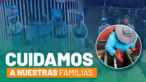 Acción preventiva: fumigación y control larvario en barrio Unidad de Propósito
