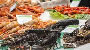 Nicaragua exporta más de 380 mil kilos de mariscos a China