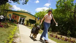 Nicaragua ya tiene hospital para mascotas