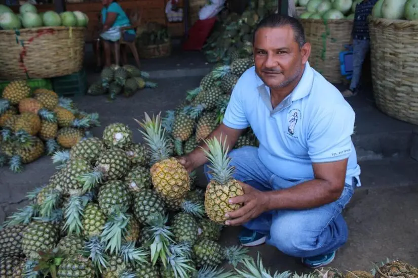 ¡Todo está en el mercado! La producción nacional asegura comida digna y abundante