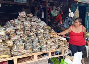 Familias productoras abastecen mercados con 53 mil libras de pescado seco