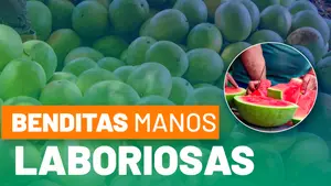 Tisma: donde la tierra y el trabajo se encuentran para crecer