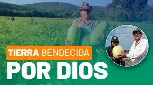 Nicaragua produce más de 1.6 millones de sandías en 2025