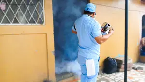 Nicaragua intensifica acciones para prevenir Dengue, Zika y Chikungunya