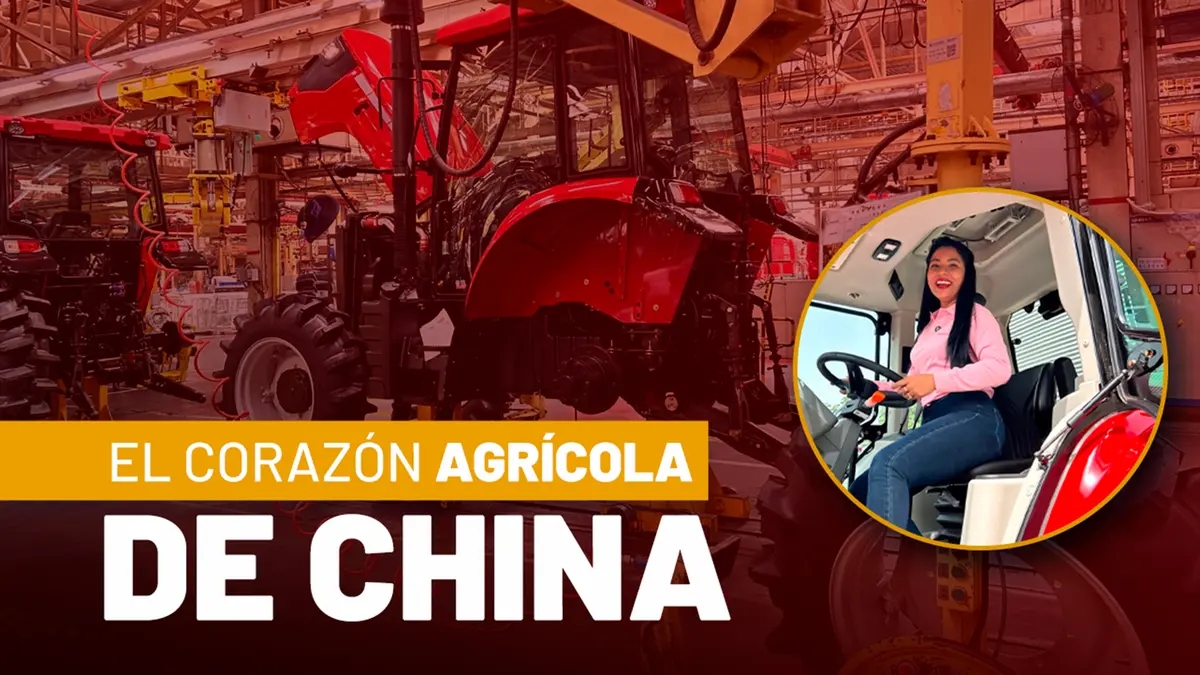 ¿Cómo el campo chino se transformó en potencia industrial?