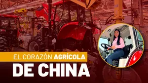 ¿Cómo el campo chino se transformó en potencia industrial?