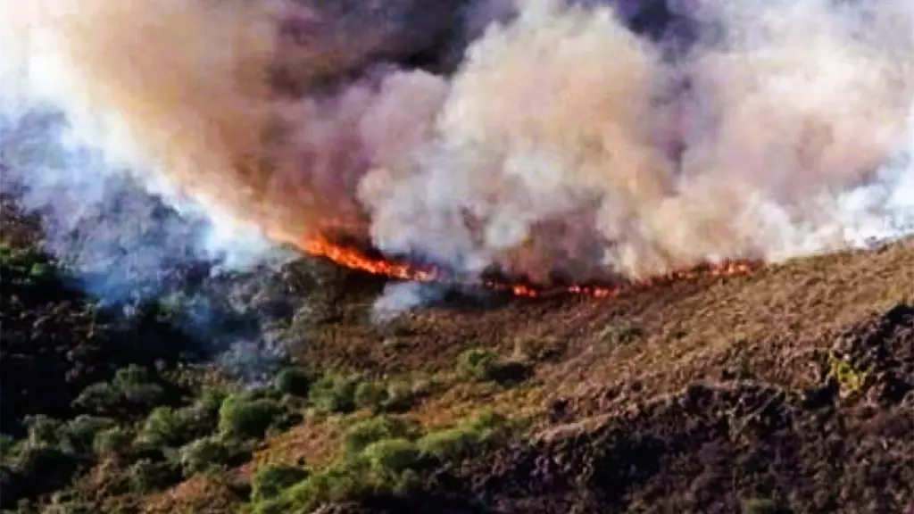 Honduras reduce 90% los incendios forestales en 2025