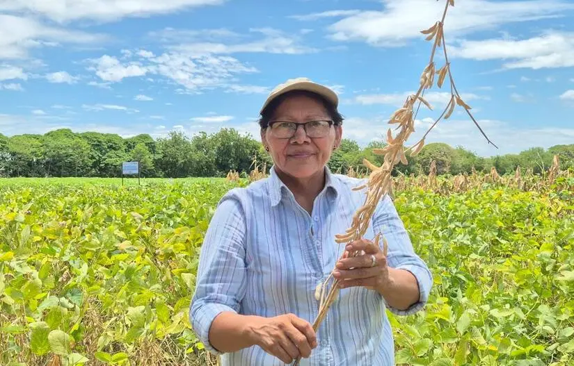 Productores reciben respaldo técnico para fortalecer el cultivo de soya