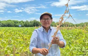Productores reciben respaldo técnico para fortalecer el cultivo de soya