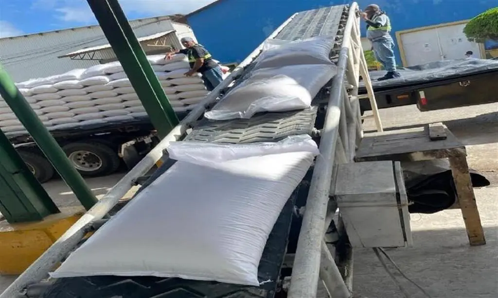 Producción azucarera en Nicaragua alcanza 1 millón 650 mil toneladas