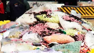 Desmantelan red narco en Costa Rica que enviaba cocaína a Europa