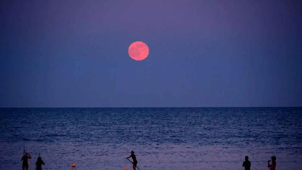 Luna de Fresa brillará el 11 de junio con un fenómeno único