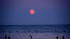 Luna de Fresa brillará el 11 de junio con un fenómeno único