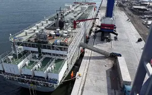 Nicaragua consolida exportación de ganado bovino con embarque hacia México