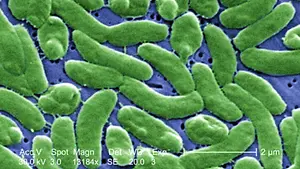 Alerta en Florida por bacteria 'comecarne'