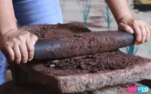 Cacao orgánico nicaragüense impulsa economía familiar y exportaciones