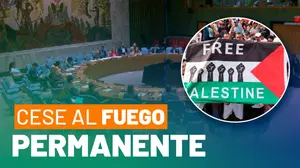 Nicaragua defiende derechos del Pueblo Palestino en la ONU