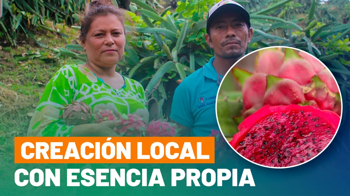 Con manos que cultivan y sueños que fermentan: así crece La Concepción