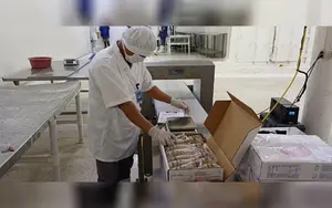 Langosta nicaragüense llega a Europa con primer embarque directo desde Bilwi