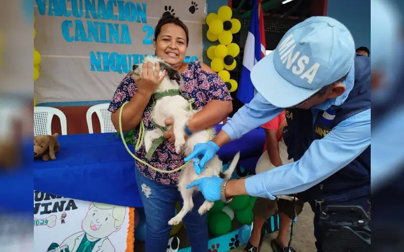 Campaña antirrábica canina avanza con más del 65% de cobertura Nacional