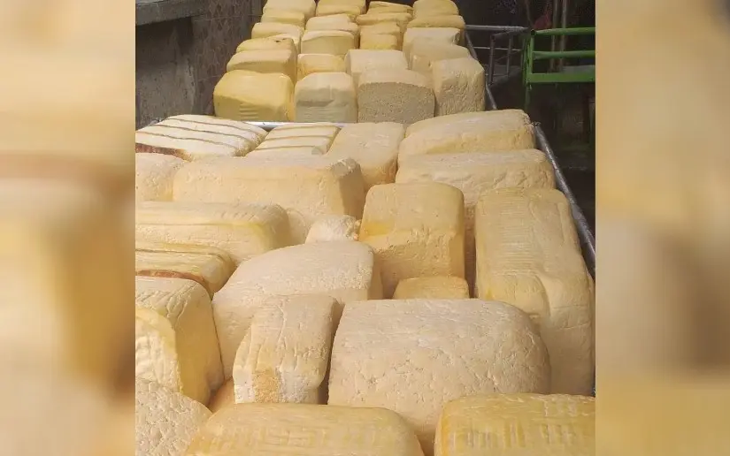Nicaragua produce más de 151 millones de libras de lácteos en siete meses