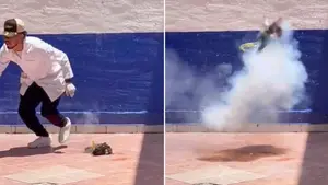 Crueldad viral: estudiantes hacen explotar a un gatito en México