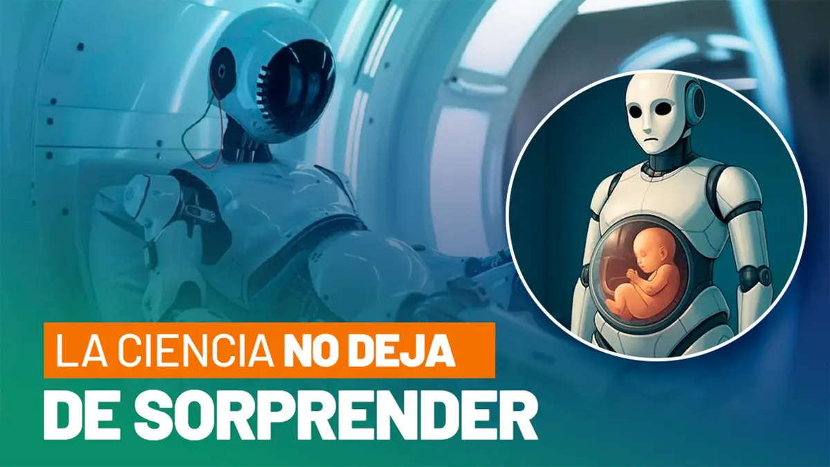 Científicos chinos trabajan en el primer robot con útero artificial