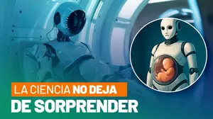 Científicos chinos trabajan en el primer robot con útero artificial