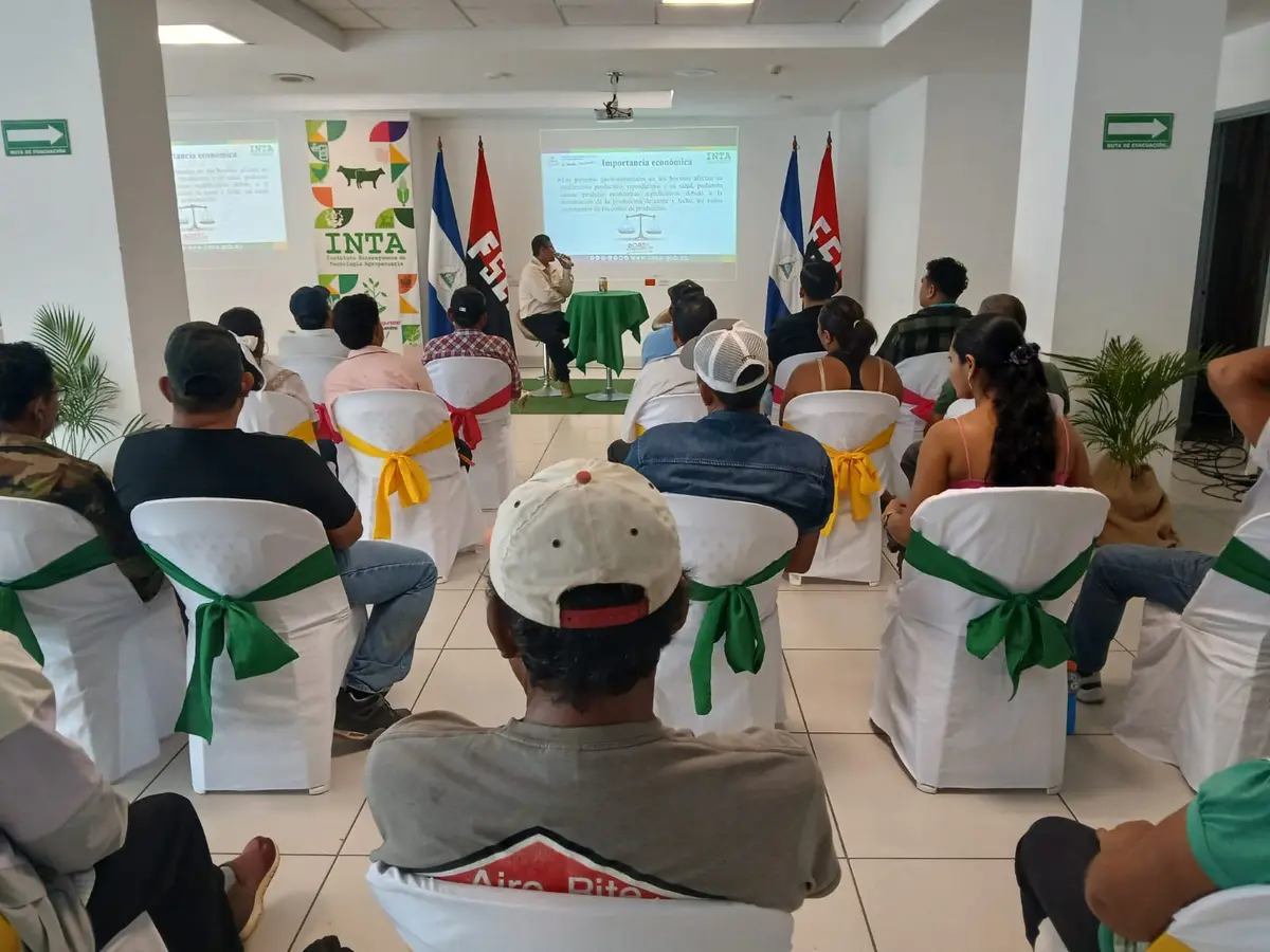 Ganaderos se capacitan contra parásitos intestinales en bovinos