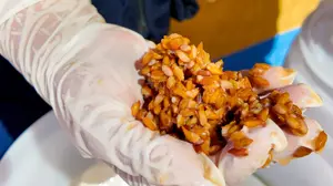 Masaya activa campaña contra la leptospirosis