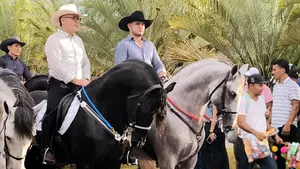 Fiestas Patronales de Ocotal cierran con multitudinario desfile hípico