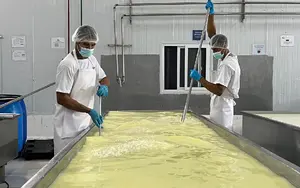 Producción de queso y cuajada supera los 57 millones de libras