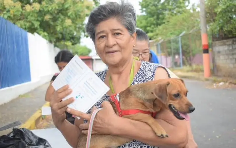 Vacunados 1.75 millones de perros en exitosa campaña antirrábica