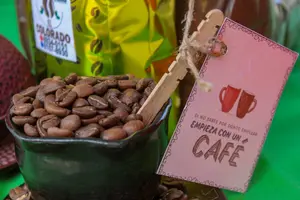 Expo Feria “Nicaragua es Café” destaca calidad del grano nacional