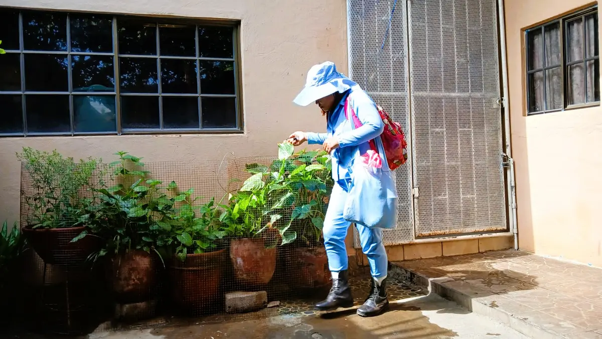Brigadas médicas combaten el Dengue en el barrio Monseñor Lezcano