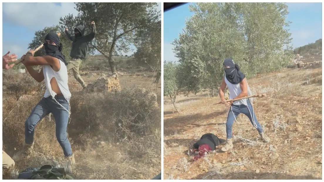 Colonos israelíes atacan brutalmente a agricultores palestinos