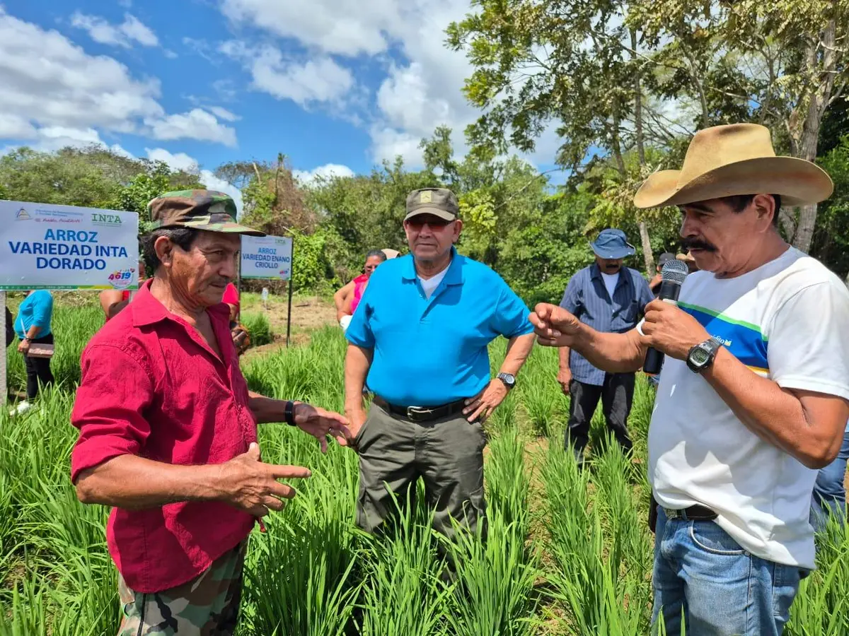 Tecnología agropecuaria al servicio del pueblo: INTA fortalece el trabajo en el campo
