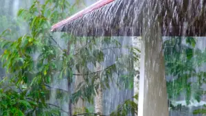 Lluvias y oleaje fuerte afectarán costas nicaragüenses