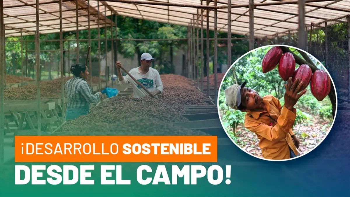 Avances en producción de lácteos y cacao dinamizan la economía nacional