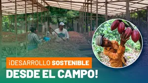 Avances en producción de lácteos y cacao dinamizan la economía nacional