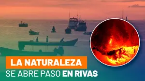 Miles de tortugas llegan a anidar en La Flor, santuario natural Nicaragüense