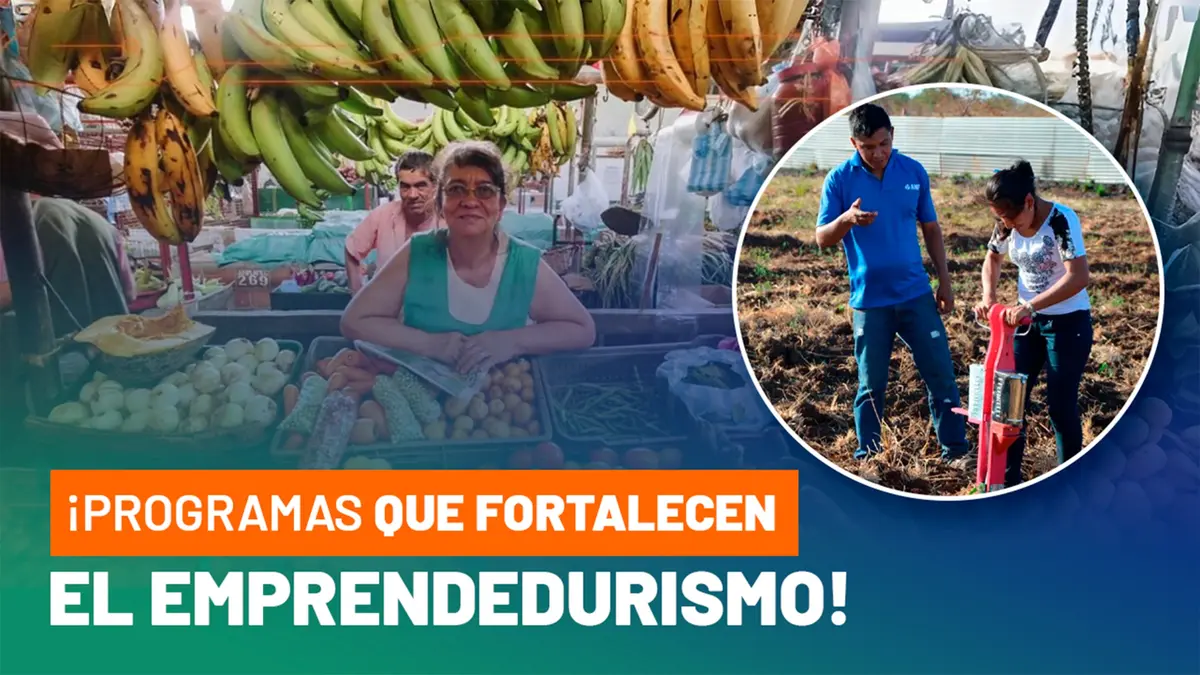 Programas de crédito fortalecen el trabajo y la economía nacional