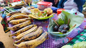 El plátano dinamiza la economía local en la comunidad de El Suyatal