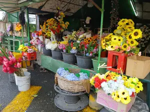 Emprendedores y familias se preparan para conmemorar el Día de los Difuntos