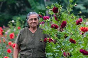 Floricultores de Catarina fortalecen la economía familiar y el turismo rural