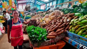 Productos claves de la canasta básica mantienen precios en los mercados