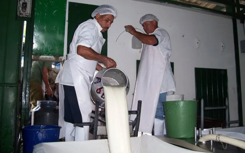 Sector lácteo mantiene dinamismo con 151.8 millones de galones acopiados en 2025