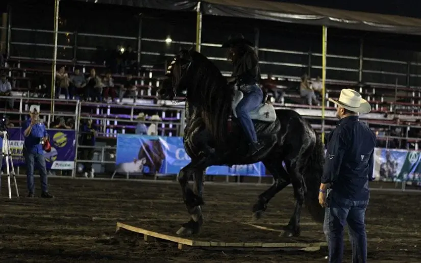 Competencia femenina y rodeo llenan de emoción la Feria Ganadera